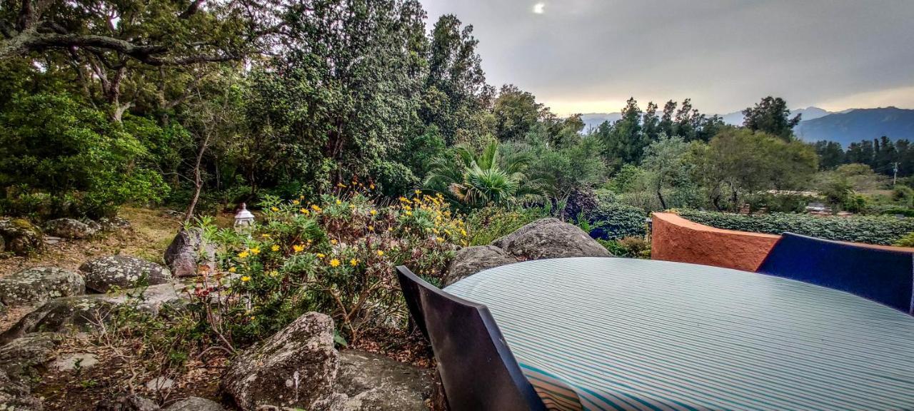 Residence Les Jardins De Sainte-Lucie "Piscine Chauffee" ภายนอก รูปภาพ