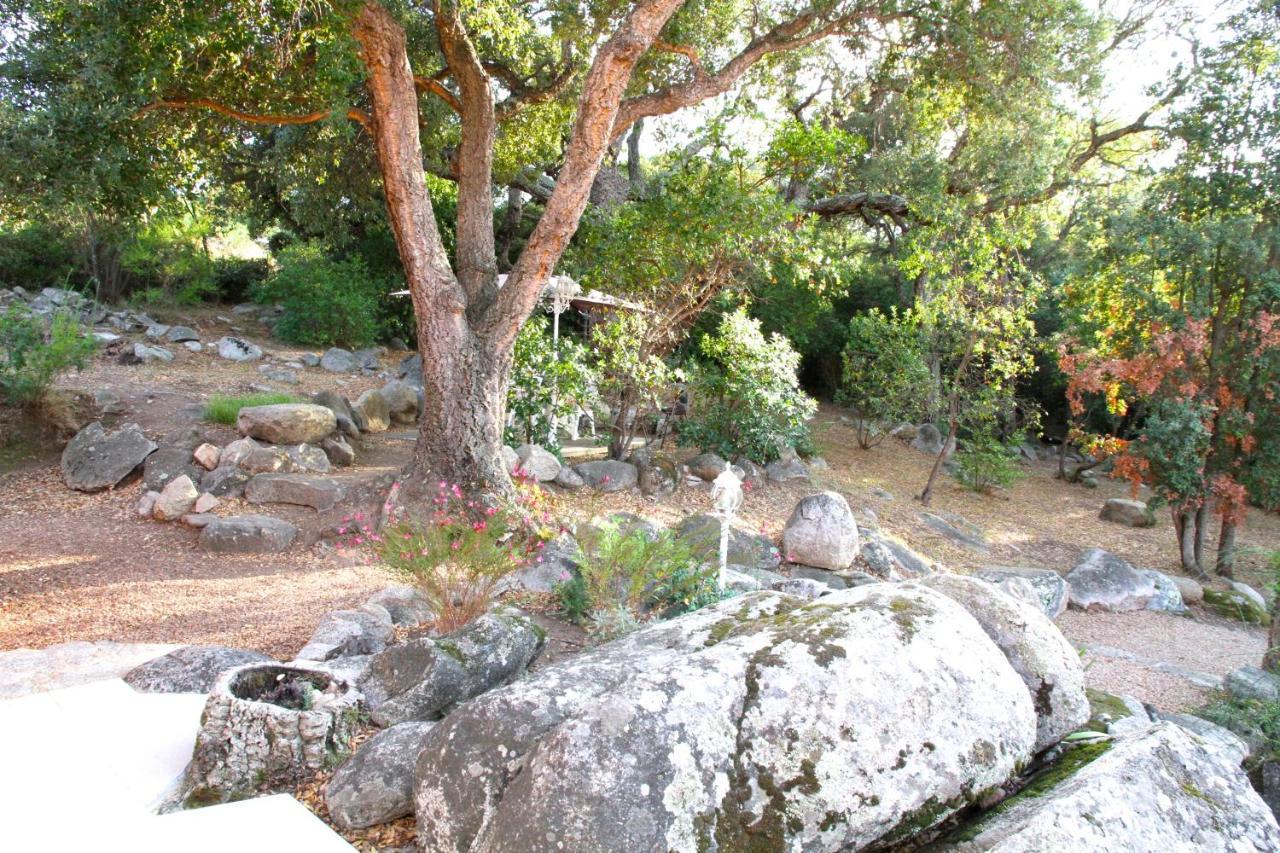 Residence Les Jardins De Sainte-Lucie "Piscine Chauffee" ภายนอก รูปภาพ